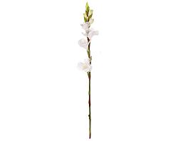 Umelá kvetina Gladiola 85 cm, biela%